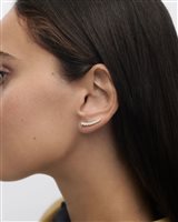 Orecchini PDPaola Donna THE NEW ESSENTIALS in Argento AR01-C92-U - AR01-C92-U